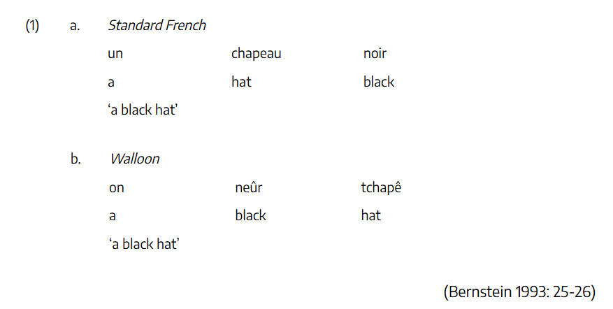 Linguistic-Gloss-Standard A linguistic gloss comparing Standard French and Walloon phrases for 'a black hat'. Two examples are presented side by side in a three-line gloss format.